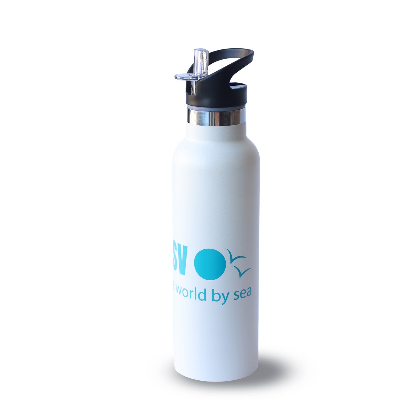 Vacuum insulated drink bottle with flip valve lid
